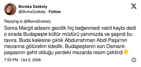 Székely: Margit Adası "vakit kaybı" bulundu, Abdi Paşa'nın mezarında fotoğraf çekildi.