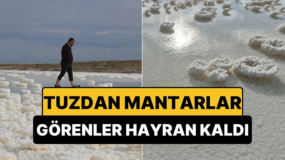 Mantar Şeklindeki Kütleler Görenleri Hayran Bıraktı: Suları Çekilen Göl Bambaşka Bir Görünüme Büründü