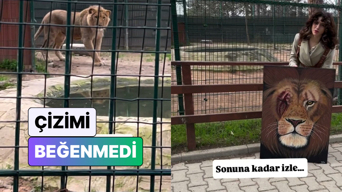 Çizdiği Aslan Portresini Gerçek Aslana Gösteren Ressam Beklemediği Bir Tepkiyle Karşılaştı