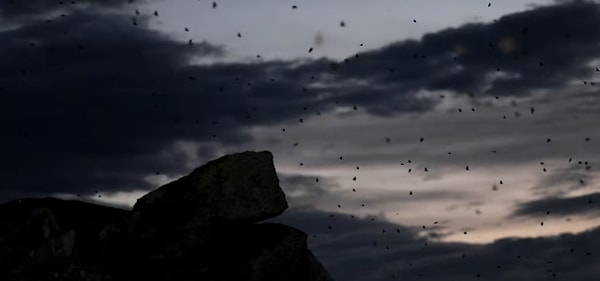 Uzmanlar bu yılki artışı yağışlara, sıcak havaya ve rüzgara bağlıyor.