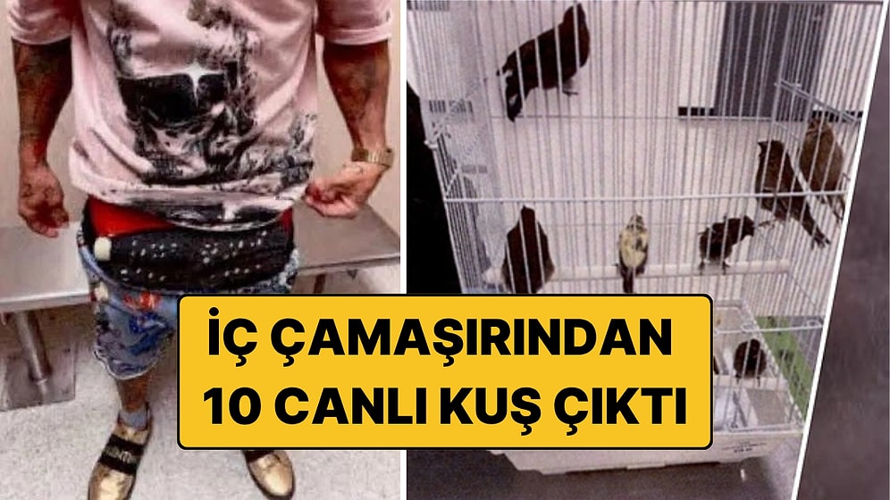 İç Çamaşırına 10 Canlı Kuş Saklamış: Havalimanında Yakalandı