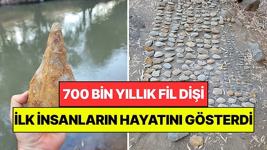 700 Bin Yıllık Fil Dişi İlk İnsanların Dünyasını Gösterdi: Meğerse Böyle Yaşıyorlarmış