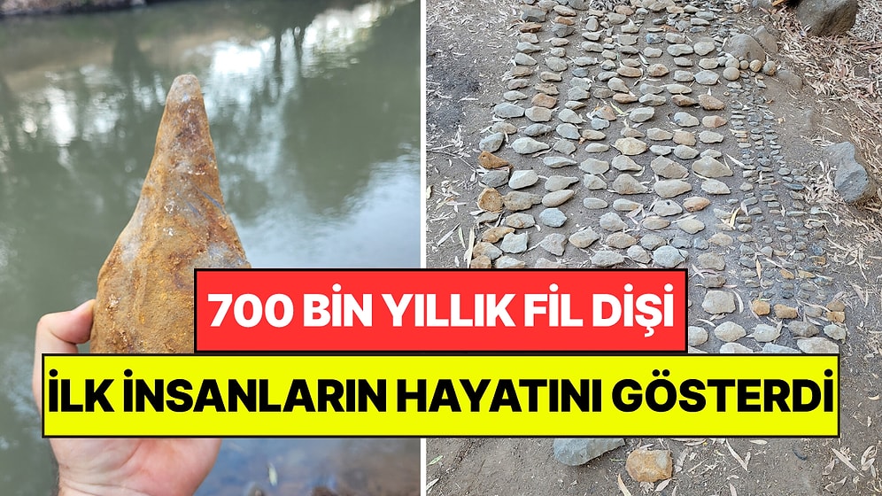 700 Bin Yıllık Fil Dişi İlk İnsanların Dünyasını Gösterdi: Meğerse Böyle Yaşıyorlarmış