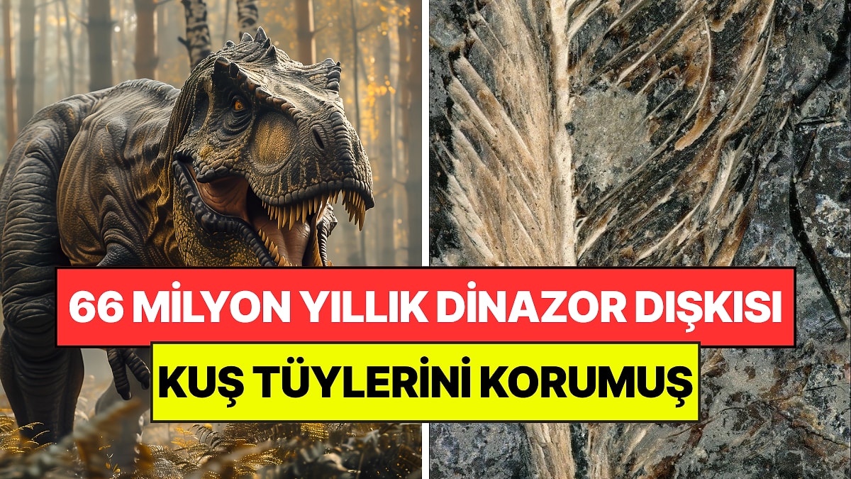 66 Milyon Yıl Önce Bir Dinozor Kuş Yedi: Dışkısı Tüyleri Üç Boyutlu Olarak Korudu
