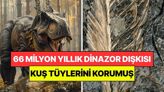 66 Milyon Yıl Önce Bir Dinozor Kuş Yedi: Dışkısı Tüyleri Üç Boyutlu Olarak Korudu