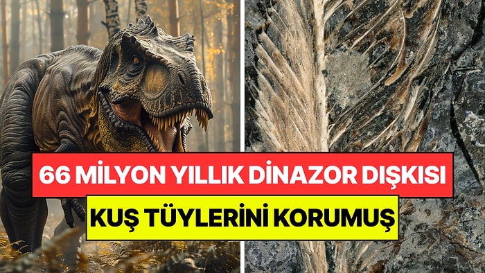 66 Milyon Yıl Önce Bir Dinozor Kuş Yedi: Dışkısı Tüyleri Üç Boyutlu Olarak Korudu
