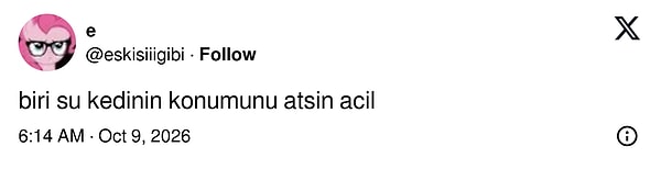 Konum paylaşılırsa kedinin yolunda biri var
