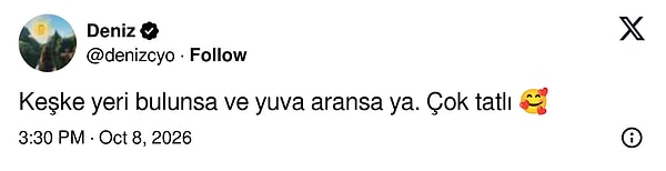 Kedi tatlı ama asıl dilek yuvanın bulunması