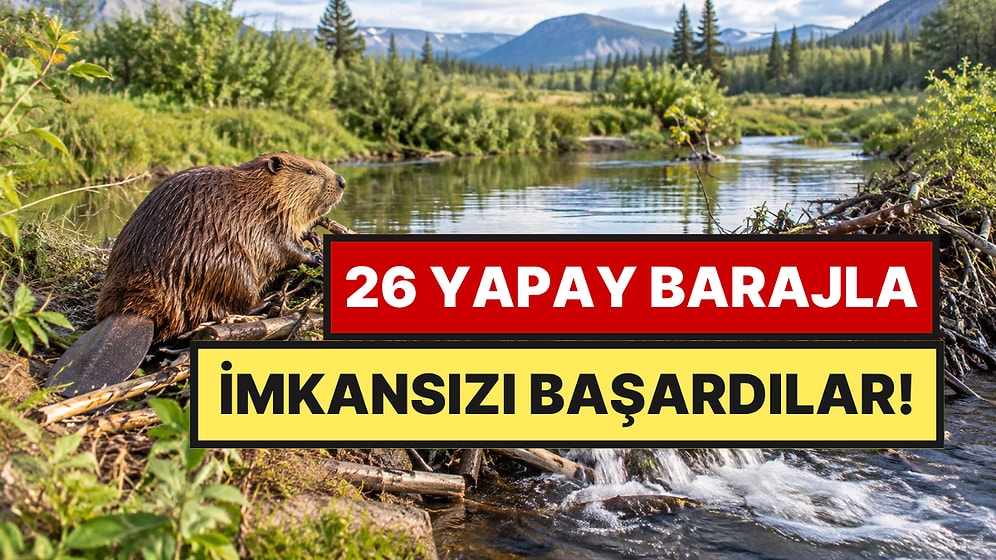 Dereyi Kurtarmak İçin 26 Baraj Kurdular: Doğa Kısa Sürede Karşılık Verdi