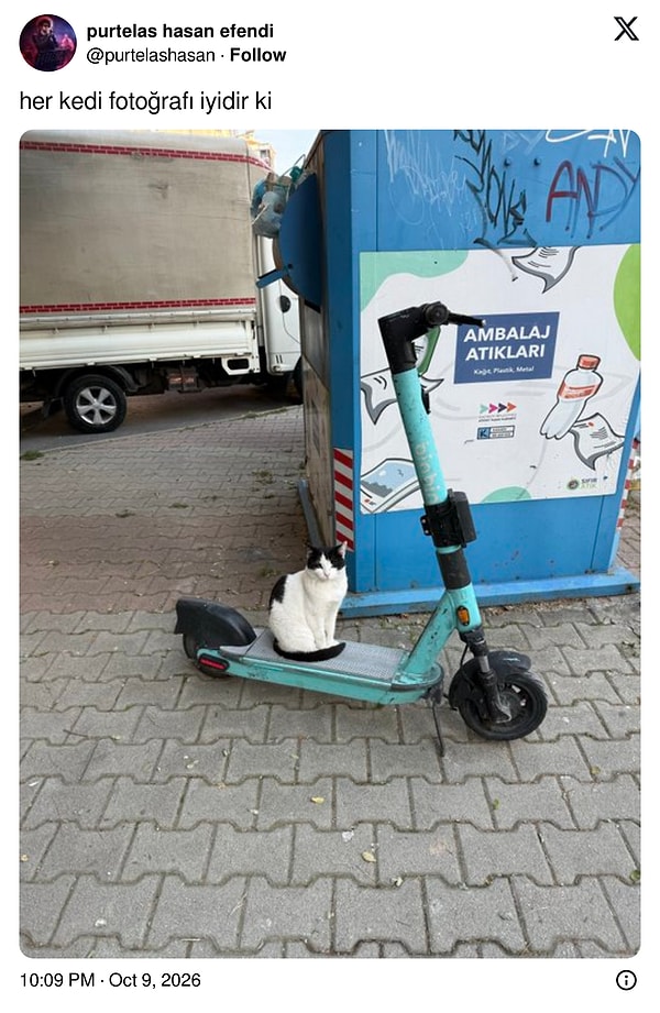Elektrikli patiyi kendine yuva yapan minik beyaz kedi