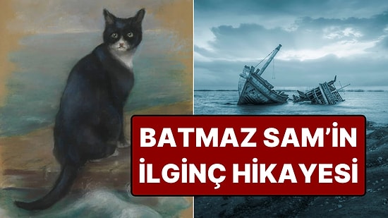 İkinci Dünya Savaşı'nda 3 Kez Gemi Batığından Kurtulan Kedinin Akılalmaz Hikâyesi