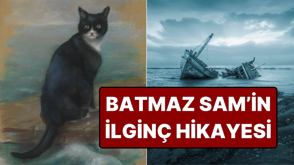 İkinci Dünya Savaşı'nda 3 Kez Gemi Batığından Kurtulan Kedinin Akılalmaz Hikâyesi