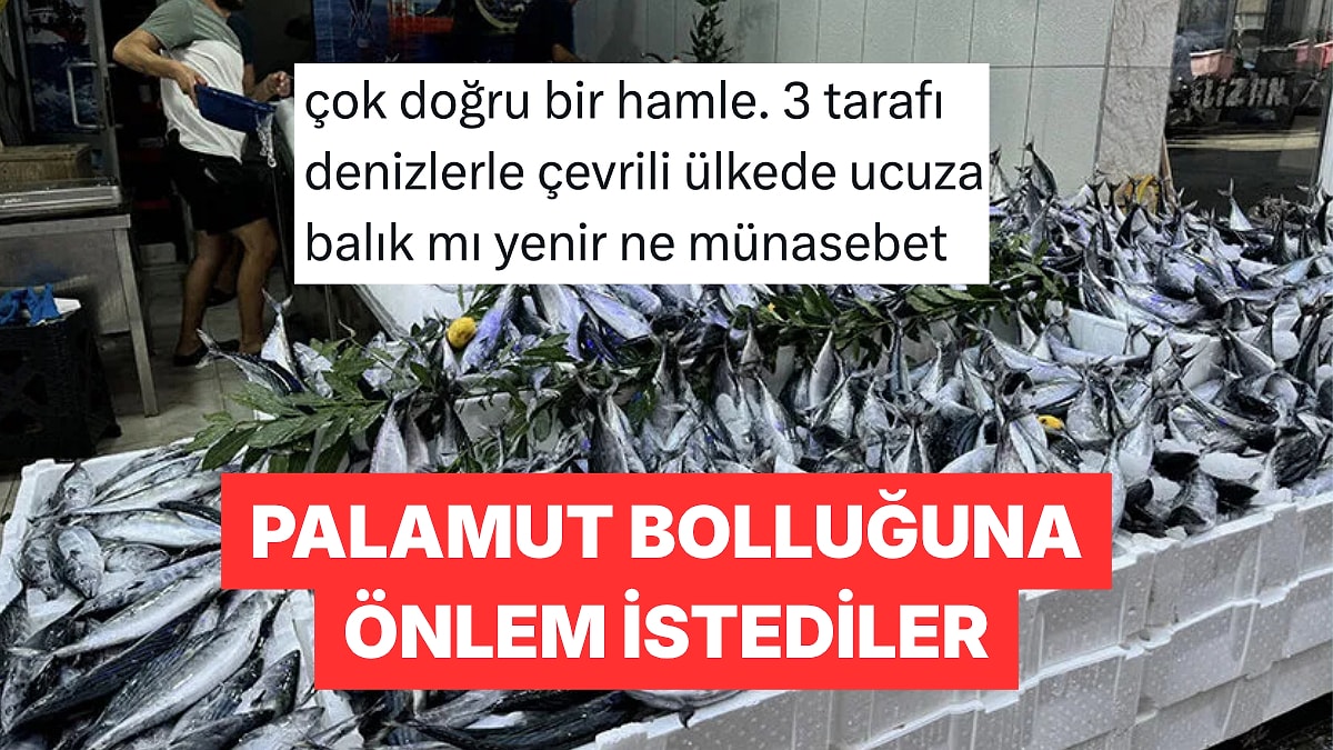 Palamut Bol Olduğu İçin Avcılığa Ara Verilmesini İsteyen Balıkçı Birliğine Tepki Yağdı