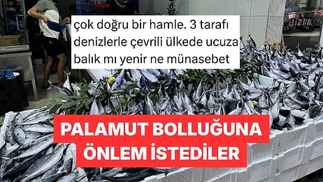 Palamut Bol Olduğu İçin Avcılığa Ara Verilmesini İsteyen Balıkçı Birliğine Tepki Yağdı