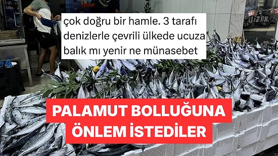 Palamut Bol Olduğu İçin Avcılığa Ara Verilmesini İsteyen Balıkçı Birliğine Tepki Yağdı