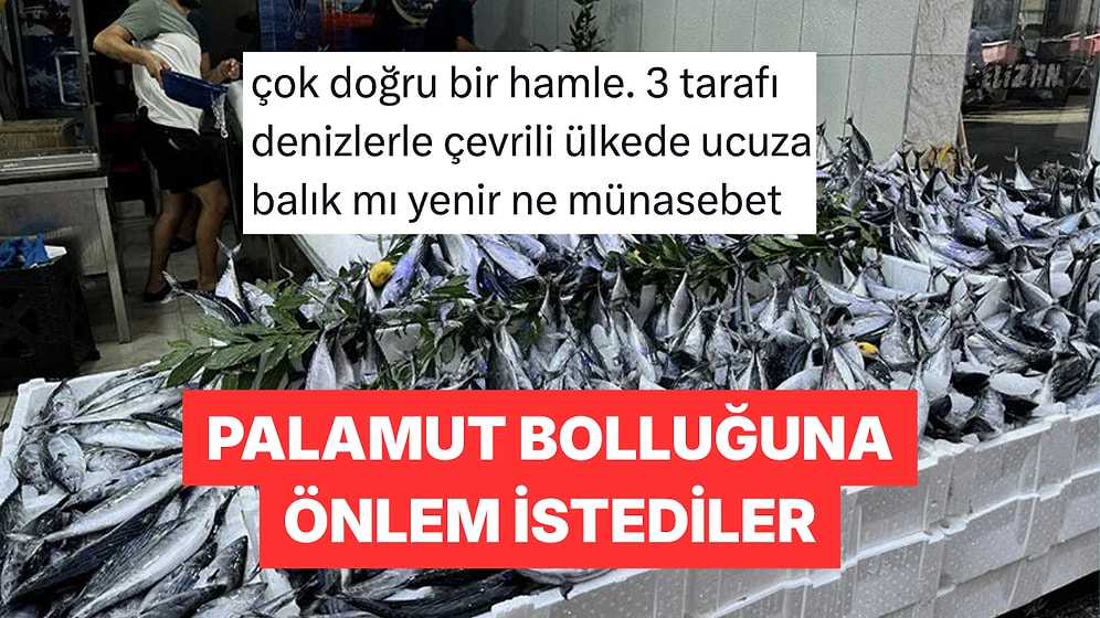 Palamut Bol Olduğu İçin Avcılığa Ara Verilmesini İsteyen Balıkçı Birliğine Tepki Yağdı