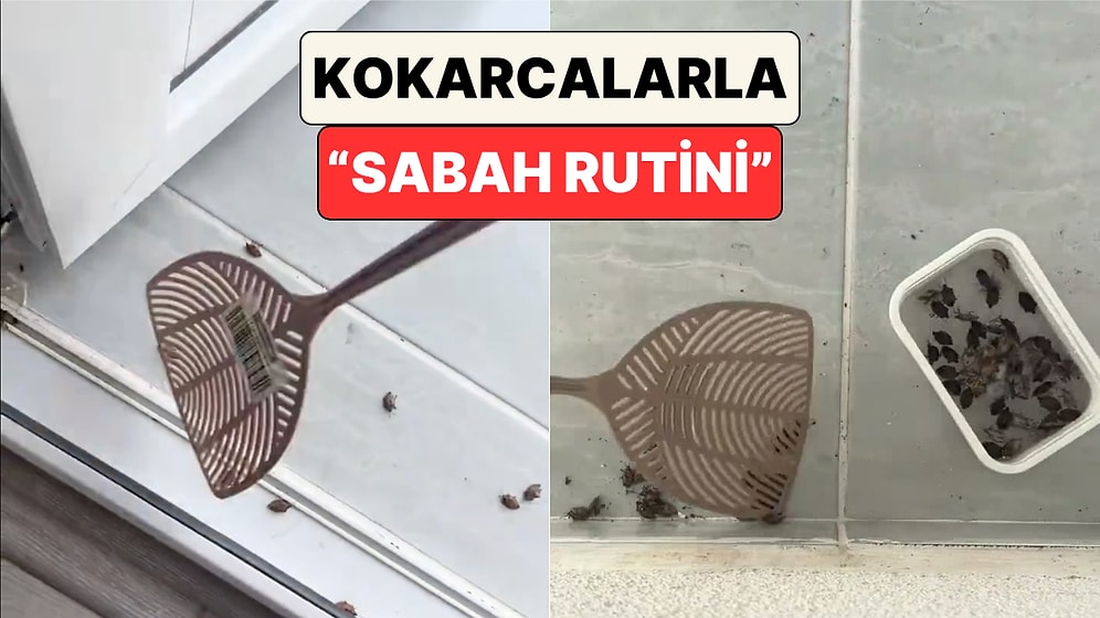 Fatsa'da Yaşayan Bir Kadın Balkonunu Saran Kokarcalarla Verdiği Mücadeleyi Paylaştı