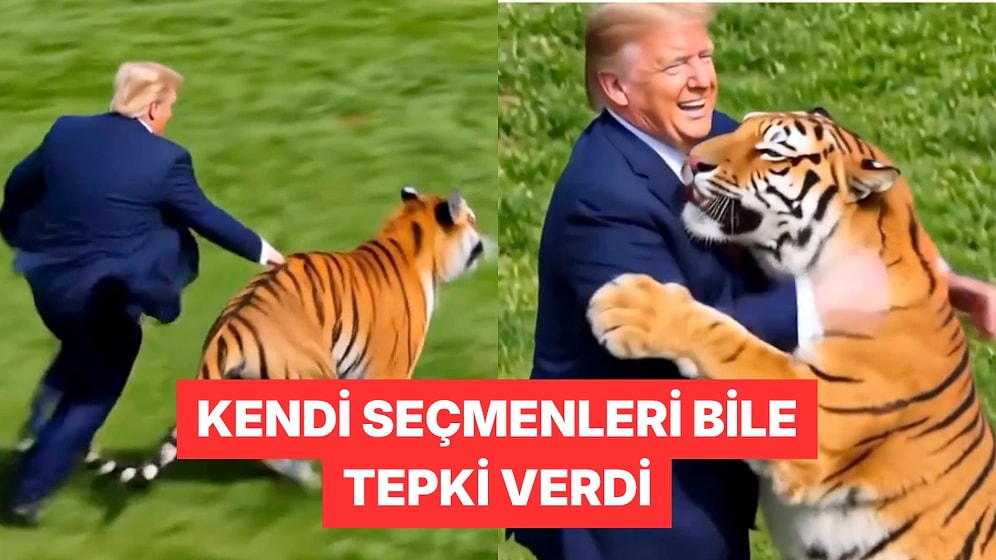ABD Başkanı Donald Trump Bir Kaplanla Güreştiği Yapay Zeka Videosu Paylaştı