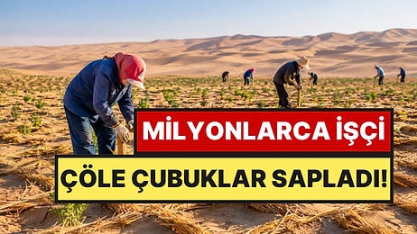 Çölün Ortasına Milyonlarca Çubuk Sapladılar: 50 Yıllık Dev Proje Sonuç Verdi