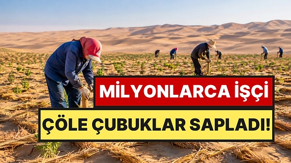 50 Yıllık Planın Sonucu Şaşırttı