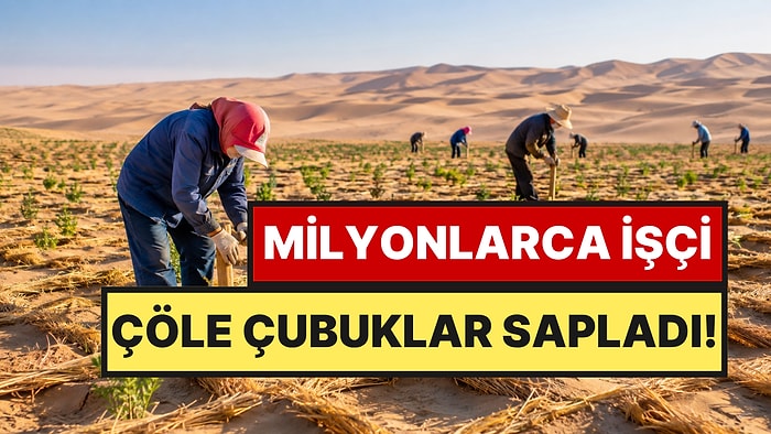 Çölün Ortasına Milyonlarca Çubuk Sapladılar: 50 Yıllık Dev Proje Sonuç Verdi
