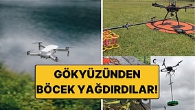 Ağaçların Tepesine Drone'larla Böcek Bıraktılar