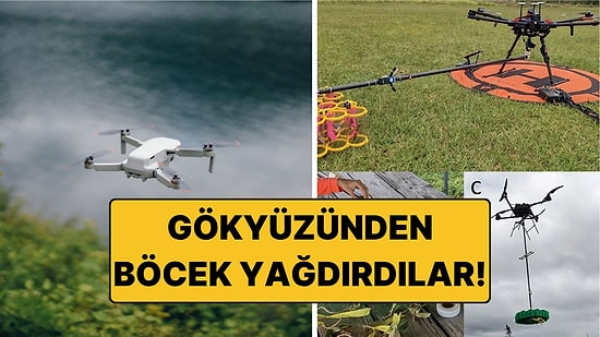 Ağaçların Tepesine Drone'larla Böcek Bıraktılar