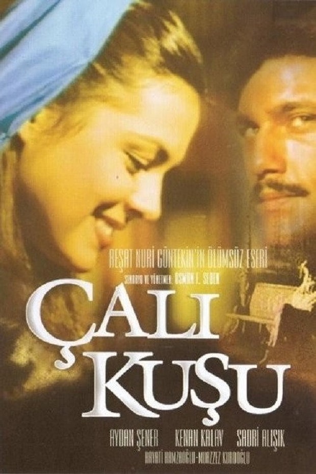 Çalıkuşu Posteri