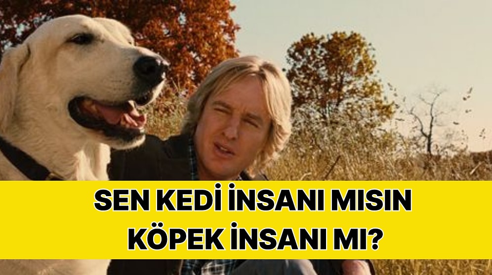 Karakterine Göre Kedi İnsanı mı Köpek İnsanı mı Olduğunu Söylüyoruz!