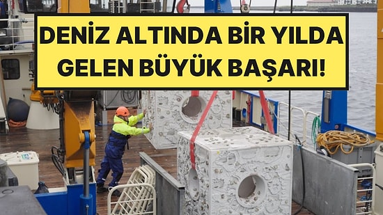 20 Dev Delikli Küpü Tek Tek Denizin Dibine Yerleştirdiler