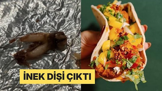 Tacosunda İnek Dişi Bulan Kadın Restoran Zincirine 250 Bin Dolarlık Dava Açtı