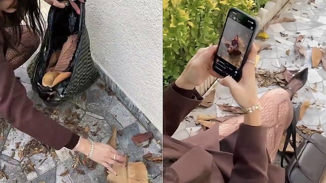 Woman Amuses Social Media by Scattering Street Leaves in Her Garden for Instagram