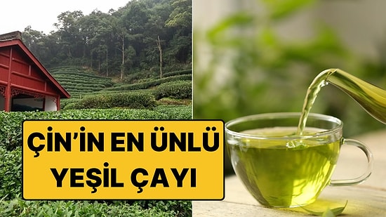 Yarım Kilosu 4 Bin Dolar: Çin'in En Ünlü Yeşil Çayı Longjing