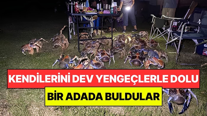 89 Yıllık Gizemi Çözmek İstediler: Kendilerini Dev Yengeçlerle Dolu Bir Adada Buldular