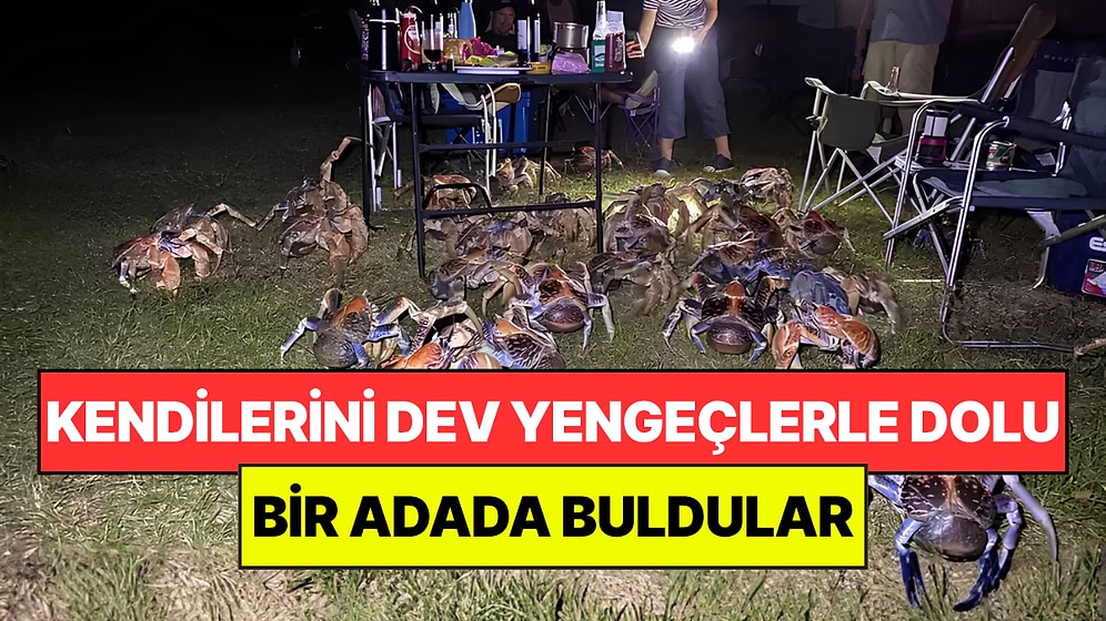 89 Yıllık Gizemi Çözmek İstediler: Kendilerini Dev Yengeçlerle Dolu Bir Adada Buldular
