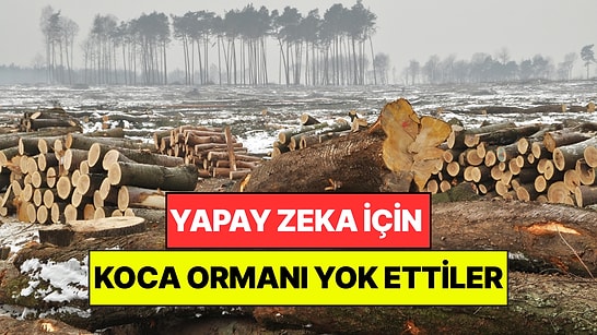 Yapay Zeka İçin 330 Hektarlık Ormanı Yok Ettiler: Tüm Ülke Ayağa Kalktı