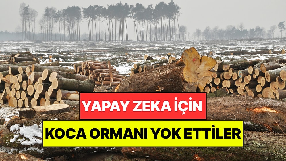 Yapay Zeka İçin 330 Hektarlık Ormanı Yok Ettiler: Tüm Ülke Ayağa Kalktı