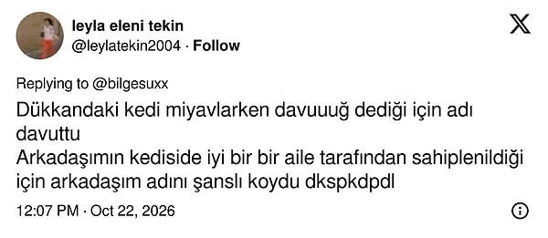 Ses getirdi.
