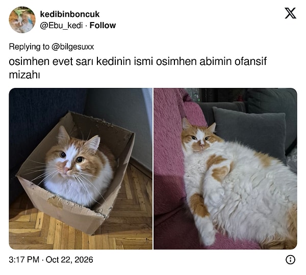 Forvet ruhlu.