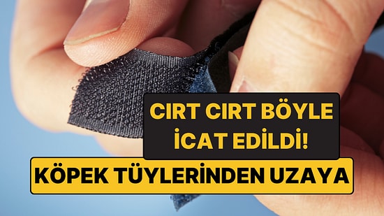 Köpeğiyle Ormanda Yürüyüşe Çıktı, Dünyanın En Çok Kullanılan İcatlarından Birini Buldu!
