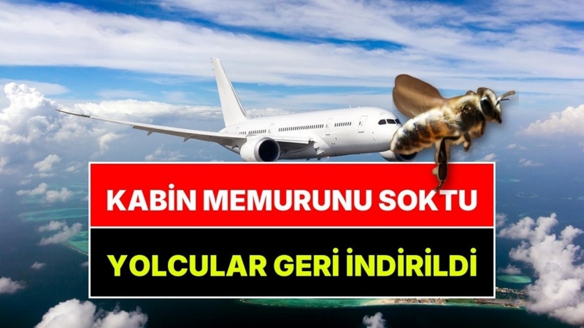 Bodrum-Ankara Uçağında Beklenmedik Olay: Kabin Memurunu Arı Soktu, Yolcular Uçaktan İndirildi