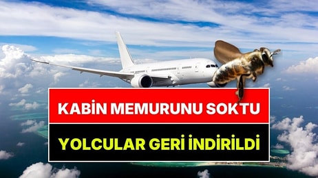 Kabin Memurunu Arı Soktu, Yolcular Uçaktan İndirildi: Bodrum-Ankara Uçağında Beklenmedik Olay