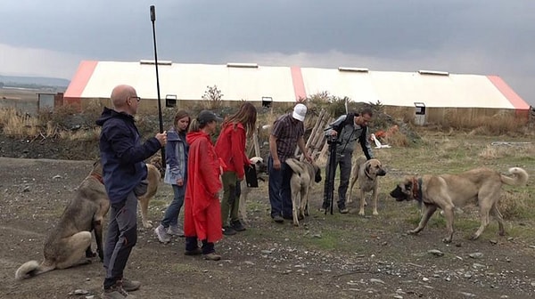 Orta İtalya'dan gelen 10 kişilik heyet, Eskişehirli çoban Süleyman Savran'ın konuğu olarak Türk çoban köpeklerini inceledi.