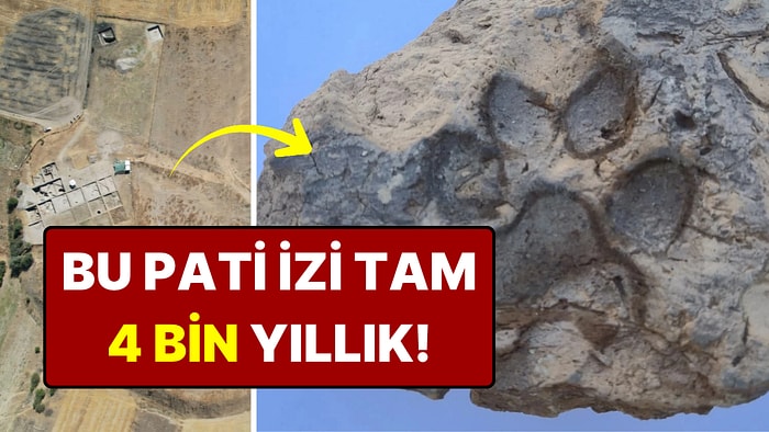 Kütahya'da 4 Bin Yıllık Pati İzleri Bulundu