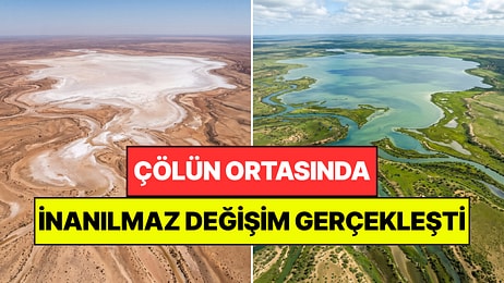 Çölün Ortasında Mucize Gerçekleşti: Kuraklık Bitti, Her Yer Yeşile Büründü