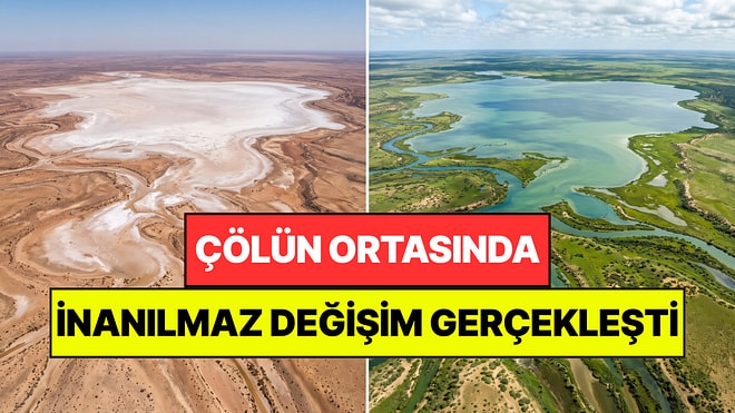 Çölün Ortasında Mucize Gerçekleşti: Kuraklık Bitti, Her Yer Yeşile Büründü