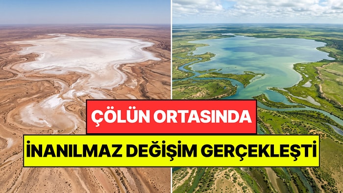 Çölün Ortasında Mucize Gerçekleşti: Kuraklık Bitti, Her Yer Yeşile Büründü