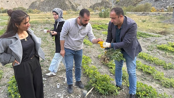 Kırıkdağ köyünde yer fıstığı için deneme tarlası kuruldu