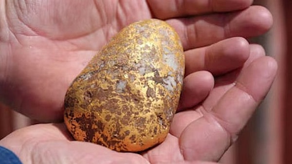 Tibooburra Patatesi adı verilen parçanın ağırlığı 1.218 gram, bunun yaklaşık 940 gramı saf altın.