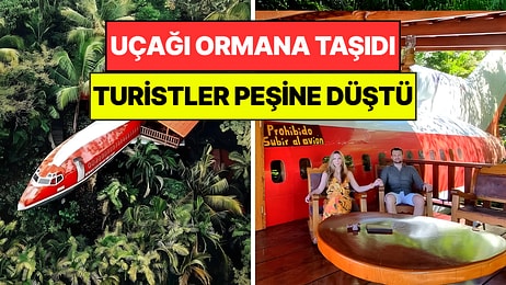 Bedavaya Aldığı Uçağı Ormanın İçine Taşıdı: Şimdi Her Gün Para Basıyor